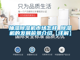 企業(yè)新聞抽濕除濕機(jī)市場(chǎng)怎樣 除濕機(jī)的發(fā)展前景介紹【詳解】