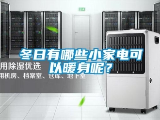 企業(yè)新聞冬日有哪些小家電可以暖身呢？