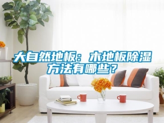 企業新聞大自然地板：木地板除濕方法有哪些？