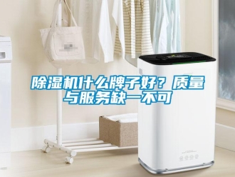 企業(yè)新聞除濕機(jī)什么牌子好？質(zhì)量與服務(wù)缺一不可
