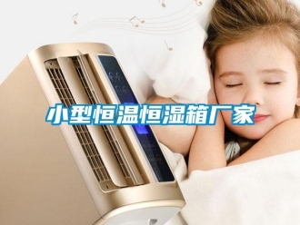 知識百科小型恒溫恒濕箱廠家