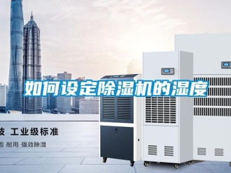 行業新聞如何設定除濕機的濕度