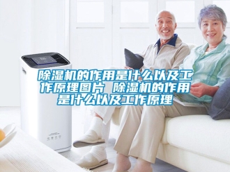 企業新聞除濕機的作用是什么以及工作原理圖片 除濕機的作用是什么以及工作原理