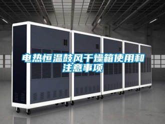 知識百科電熱恒溫鼓風干燥箱使用和注意事項