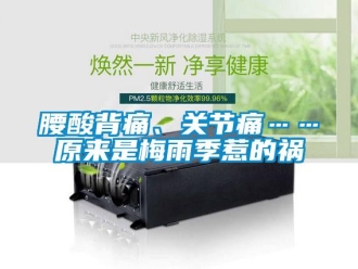 知識百科腰酸背痛、關(guān)節(jié)痛……原來是梅雨季惹的禍