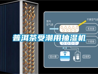 企業(yè)新聞普洱茶受潮用抽濕機(jī)