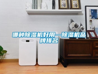 企業(yè)新聞哪種除濕機好用—除濕機品牌排名