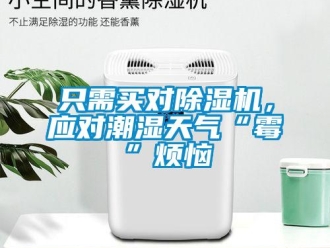 知識百科只需買對除濕機，應對潮濕天氣“霉”煩惱