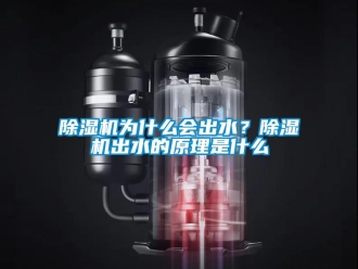 企業新聞除濕機為什么會出水？除濕機出水的原理是什么