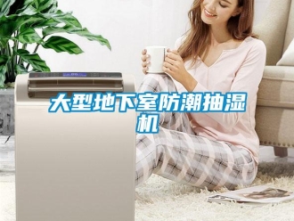 企業(yè)新聞大型地下室防潮抽濕機