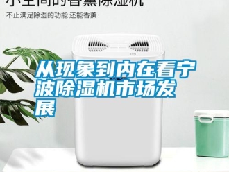 企業(yè)新聞從現(xiàn)象到內在看寧波除濕機市場發(fā)展
