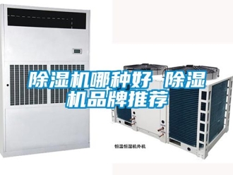 企業新聞除濕機哪種好 除濕機品牌推薦