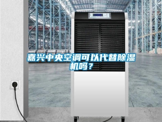 行業(yè)新聞嘉興中央空調(diào)可以代替除濕機(jī)嗎？