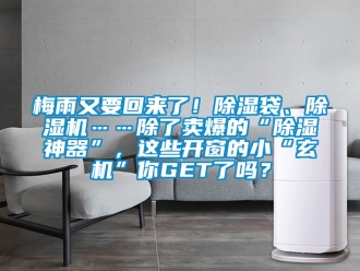 行業新聞梅雨又要回來了！除濕袋、除濕機……除了賣爆的“除濕神器”，這些開窗的小“玄機”你GET了嗎？