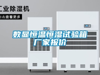 知識百科數(shù)顯恒溫恒濕試驗箱廠家報價