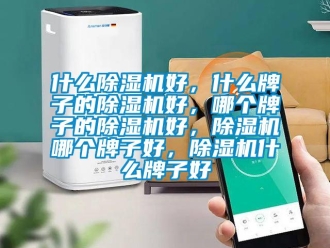 行業新聞什么除濕機好，什么牌子的除濕機好，哪個牌子的除濕機好，除濕機哪個牌子好，除濕機什么牌子好