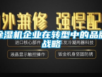 企業(yè)新聞除濕機(jī)企業(yè)在轉(zhuǎn)型中的品牌戰(zhàn)略