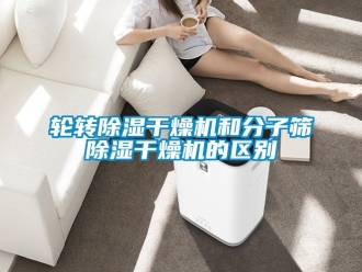 行業新聞輪轉除濕干燥機和分子篩除濕干燥機的區別