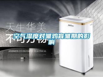 行業新聞空氣濕度對雛雞育雛期的影響