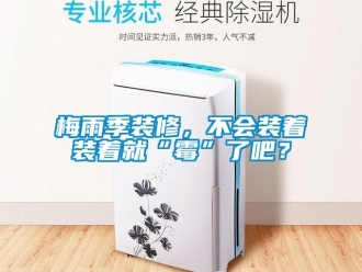 行業新聞梅雨季裝修，不會裝著裝著就“霉”了吧？