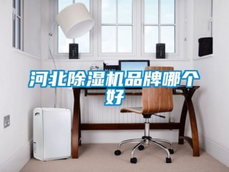 企業新聞河北除濕機品牌哪個好