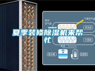知識百科夏季裝修除濕機(jī)來幫忙