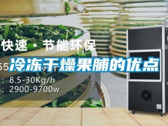 行業(yè)新聞冷凍干燥果脯的優(yōu)點(diǎn)