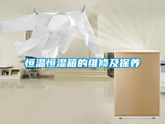 知識(shí)百科恒溫恒濕箱的維修及保養(yǎng)