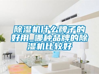 企業(yè)新聞除濕機(jī)什么牌子的好用_哪種品牌的除濕機(jī)比較好