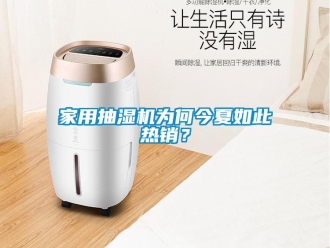 行業(yè)新聞家用抽濕機(jī)為何今夏如此熱銷？