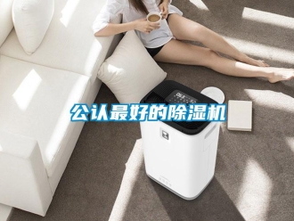 行業新聞公認最好的除濕機