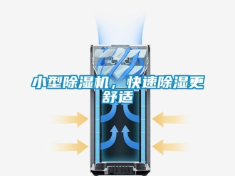 行業(yè)新聞小型除濕機，快速除濕更舒適