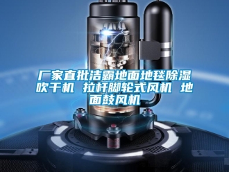 企業(yè)新聞廠家直批潔霸地面地毯除濕吹干機(jī) 拉桿腳輪式風(fēng)機(jī) 地面鼓風(fēng)機(jī)