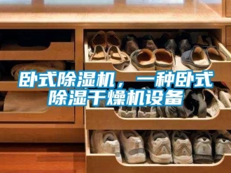 行業(yè)新聞臥式除濕機，一種臥式除濕干燥機設備