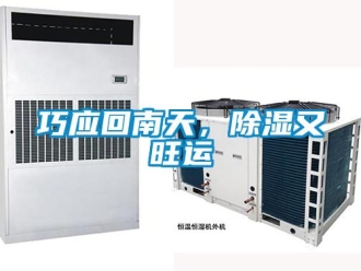 行業新聞巧應回南天，除濕又旺運