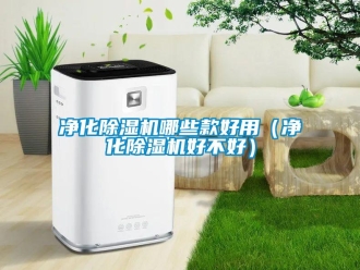行業新聞凈化除濕機哪些款好用（凈化除濕機好不好）