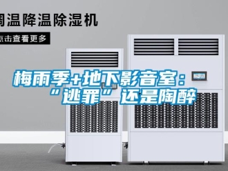 行業新聞梅雨季+地下影音室：“逃罪”還是陶醉