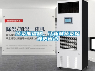 知識百科蔬菜加濕器，讓新鮮蔬菜保鮮更省心