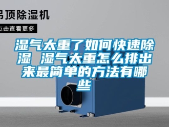 企業新聞濕氣太重了如何快速除濕 濕氣太重怎么排出來最簡單的方法有哪些