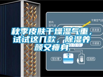 行業新聞秋季皮膚干燥濕氣重，試試這幾款，除濕養顏又瘦身