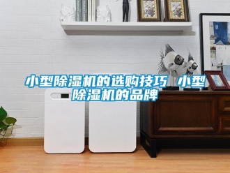企業新聞小型除濕機的選購技巧 小型除濕機的品牌
