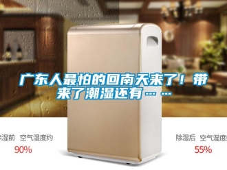 行業(yè)新聞廣東人最怕的回南天來了！帶來了潮濕還有……