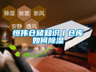 企業新聞恒偉倉儲知識丨倉庫如何除濕