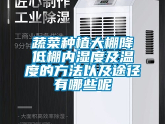 企業新聞蔬菜種植大棚降低棚內濕度及溫度的方法以及途徑有哪些呢
