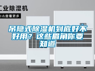 行業新聞吊隱式除濕機到底好不好用？這些眉角你要知道