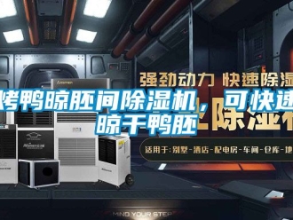 行業(yè)新聞烤鴨晾胚間除濕機(jī)，可快速晾干鴨胚