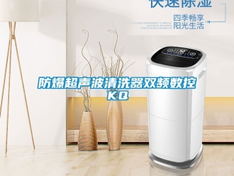 企業新聞防爆超聲波清洗器雙頻數控KQ