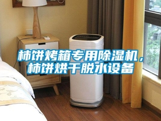 知識(shí)百科柿餅烤箱專(zhuān)用除濕機(jī)，柿餅烘干脫水設(shè)備