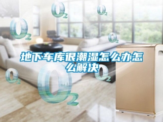 企業(yè)新聞地下車庫很潮濕怎么辦怎么解決