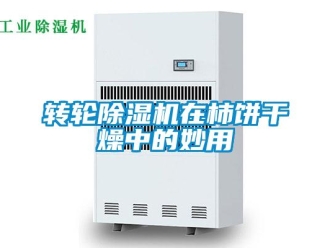 知識百科轉輪除濕機在柿餅干燥中的妙用